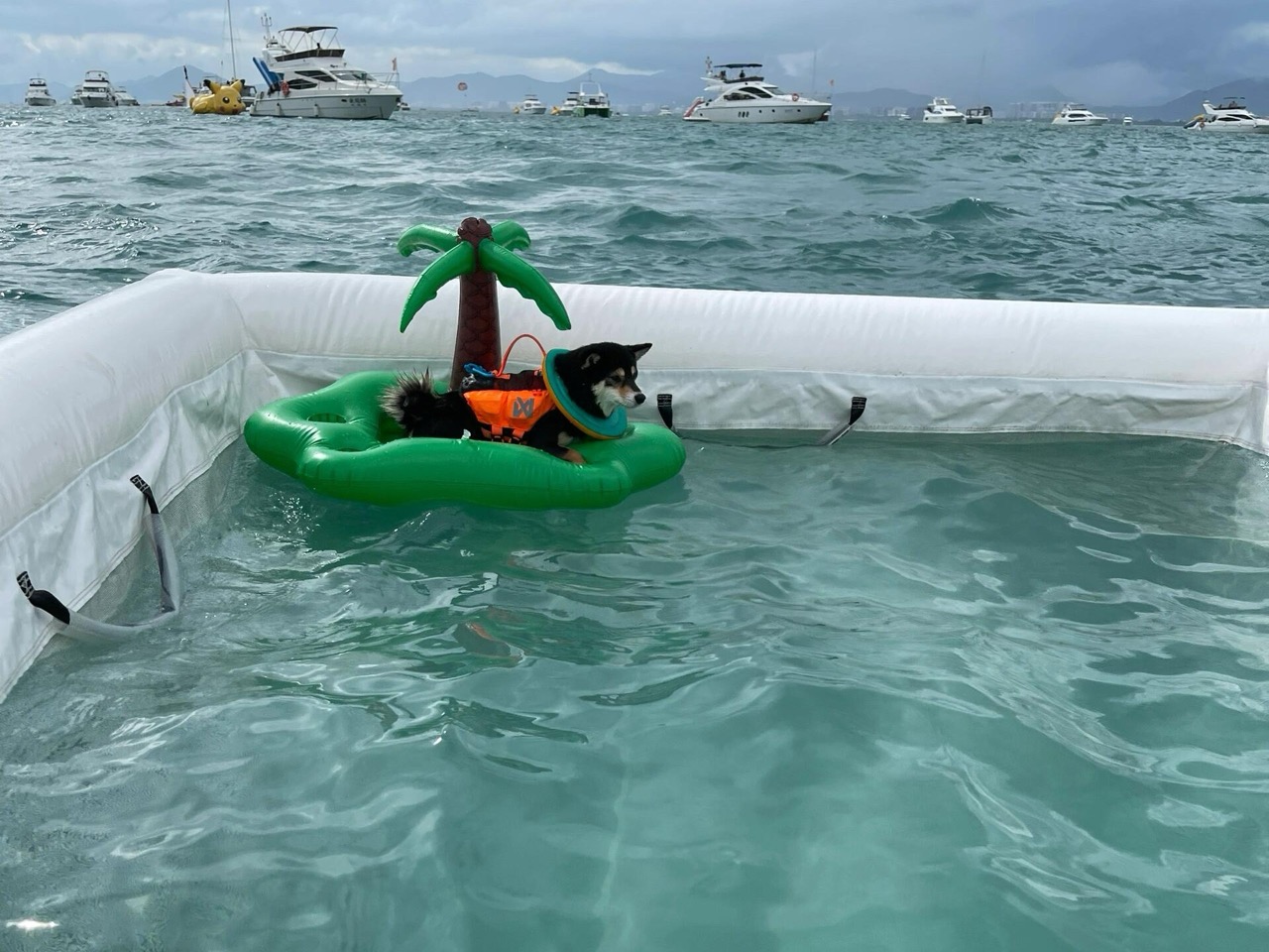 inflatable pool ocean
