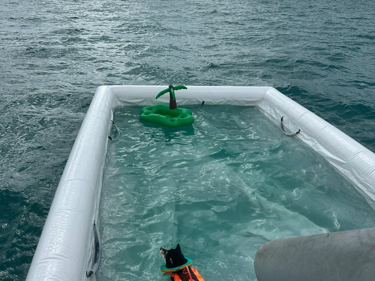 inflatable sea pool for sale