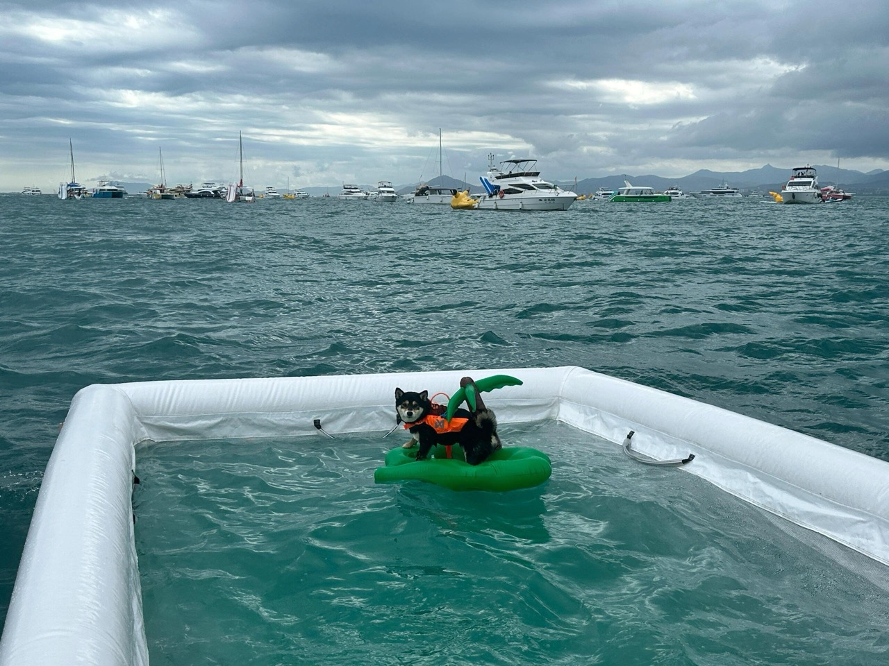 biggest inflatable pool you can buy