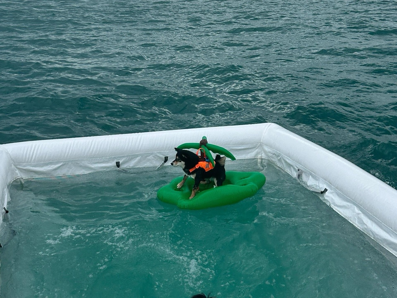 inflatable ocean obstacle course