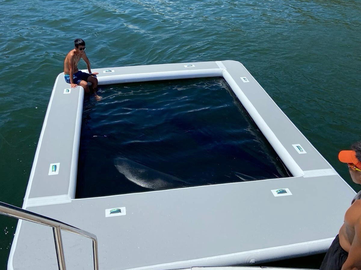 swimming pool with net