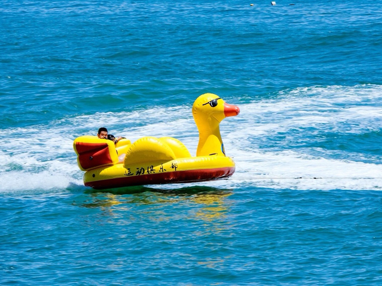 Inflatable Water Toys